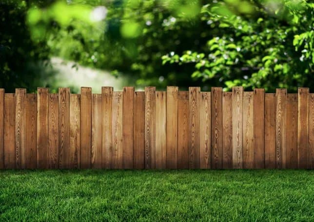 Bluelion Property Maintenance