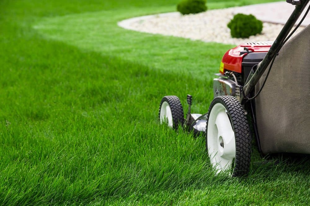 Full Circle Lawn Care