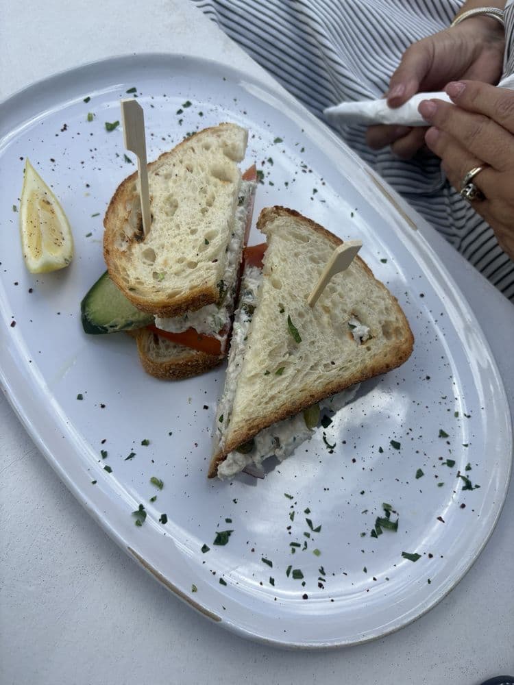 Avo Miami