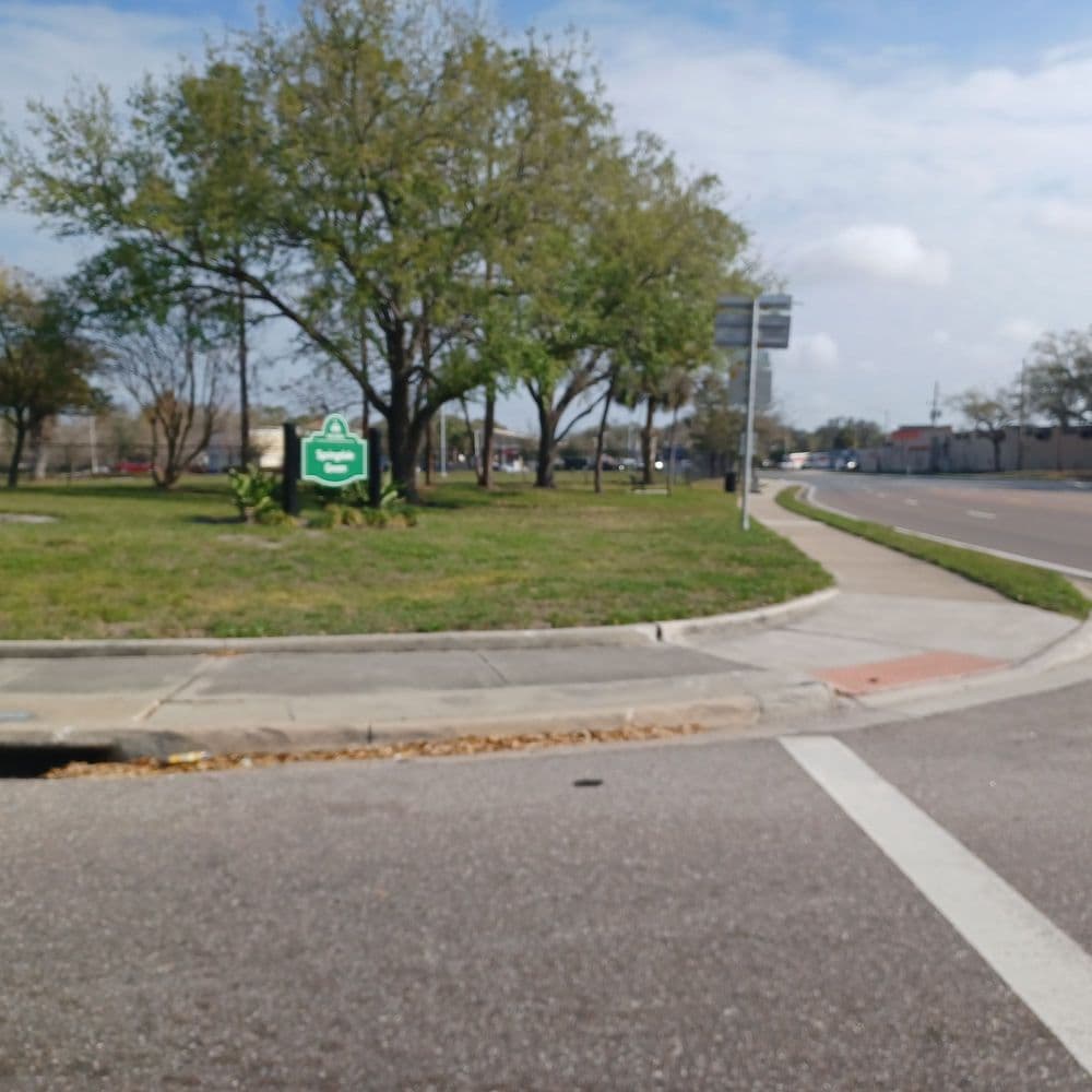 Springdale Green