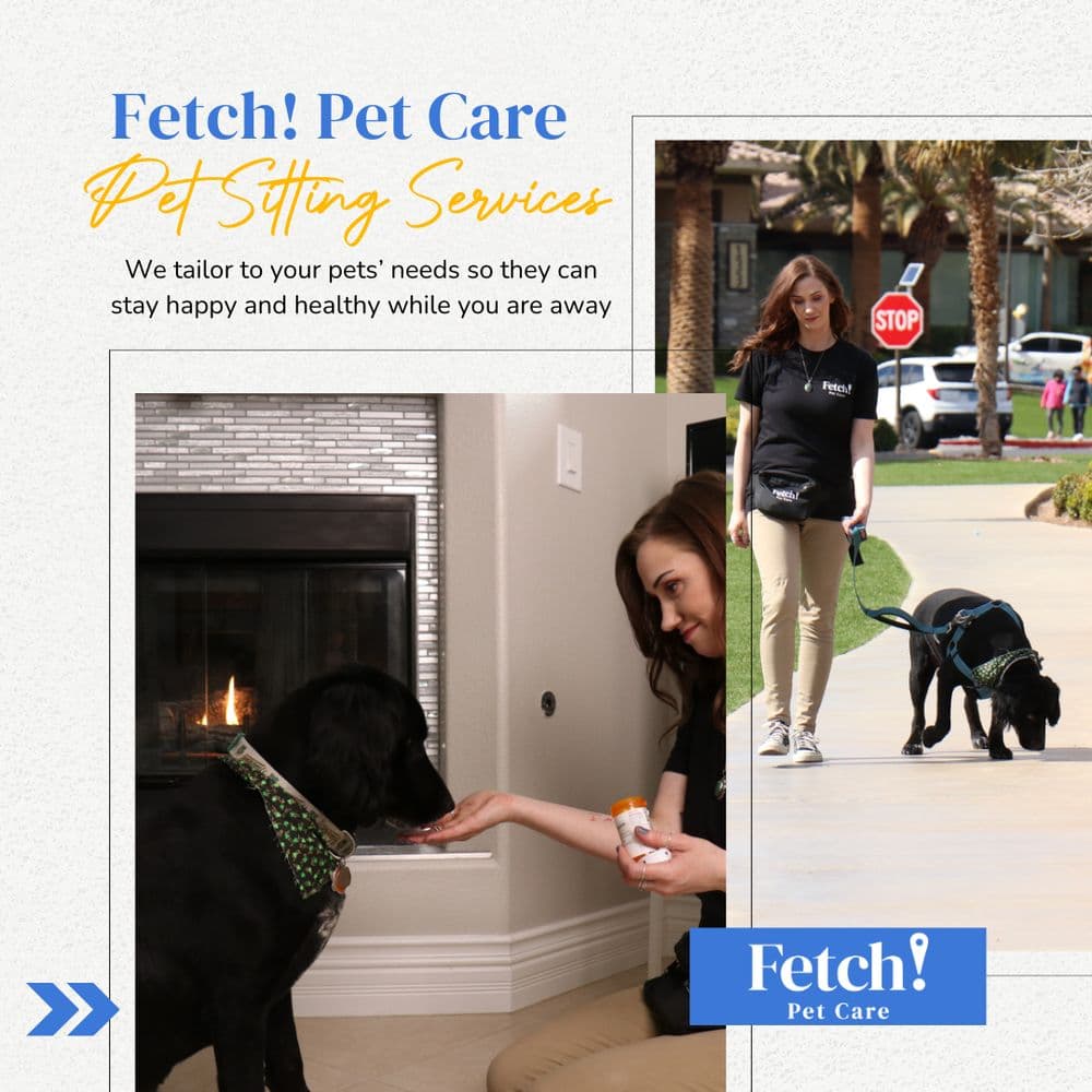Fetch! Pet Care