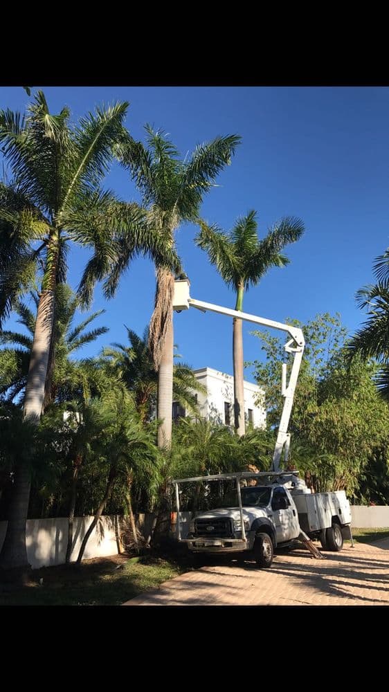 Melkris Landscaping Services