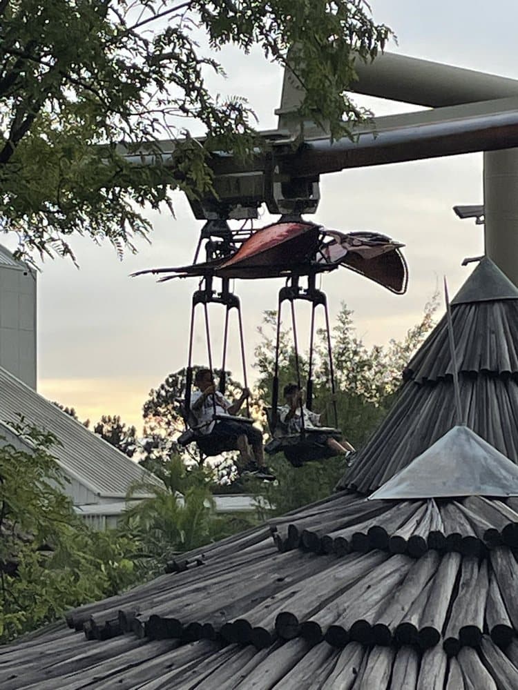 Pteranodon Flyers