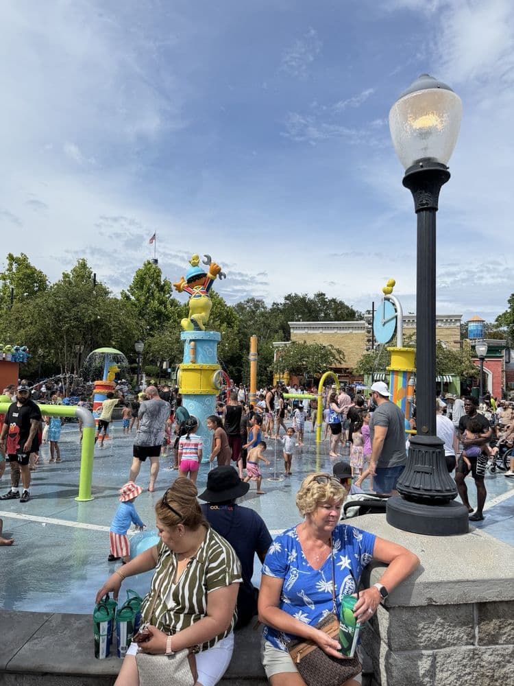 Rubber Duckie Water Works