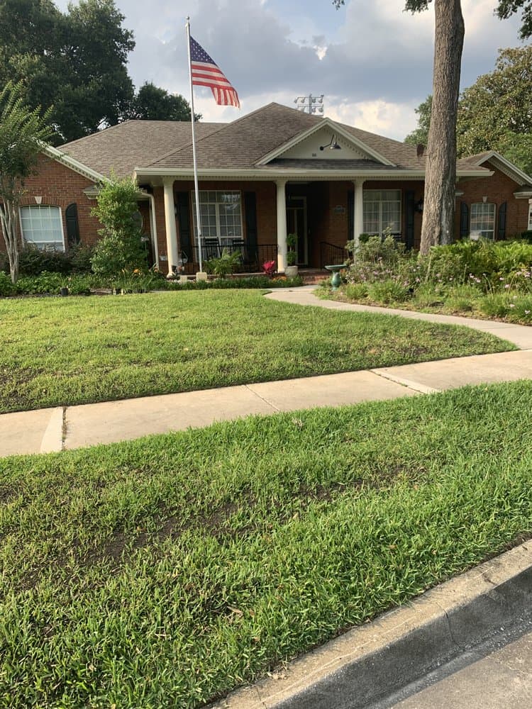 Revamping Lawns