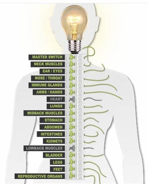 Schelin Family Chiropractic