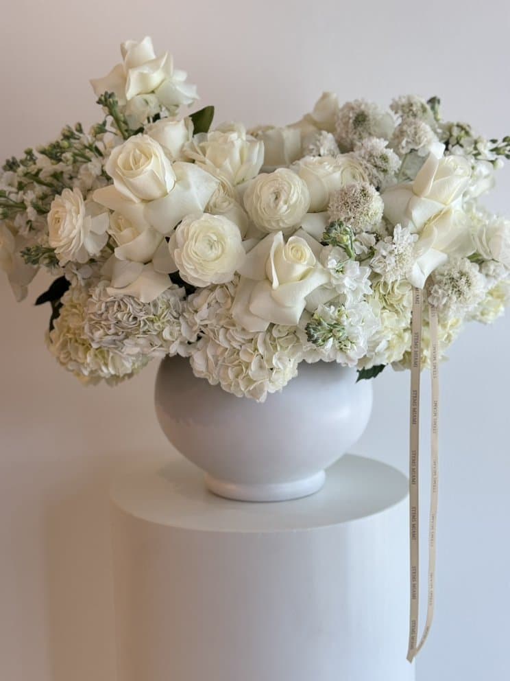 Stems