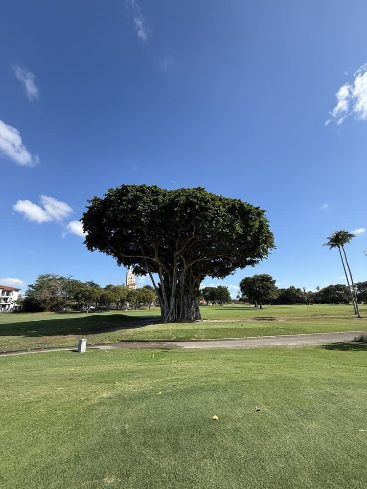 Biltmore Golf Course