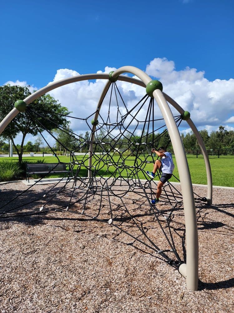 Tree Island Park