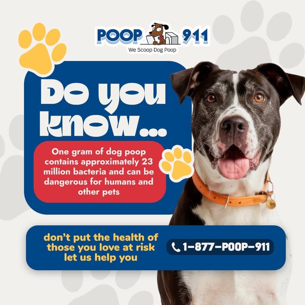 POOP 911