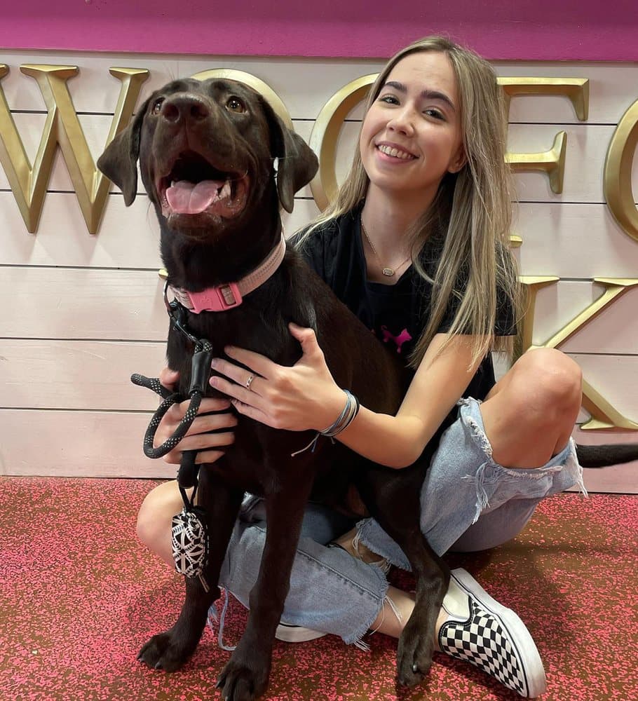 Woof Gang Bakery & Grooming South Tampa