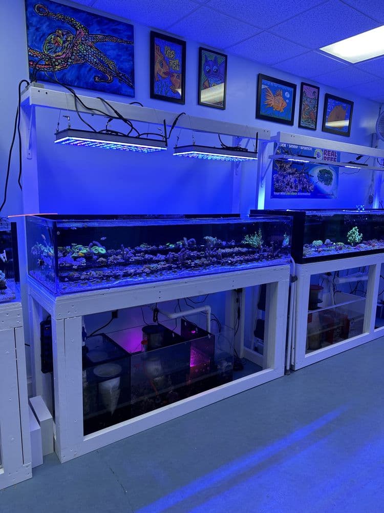 High Tide Aquarium Service