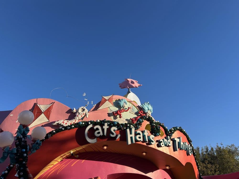 Cats, Hats and Things