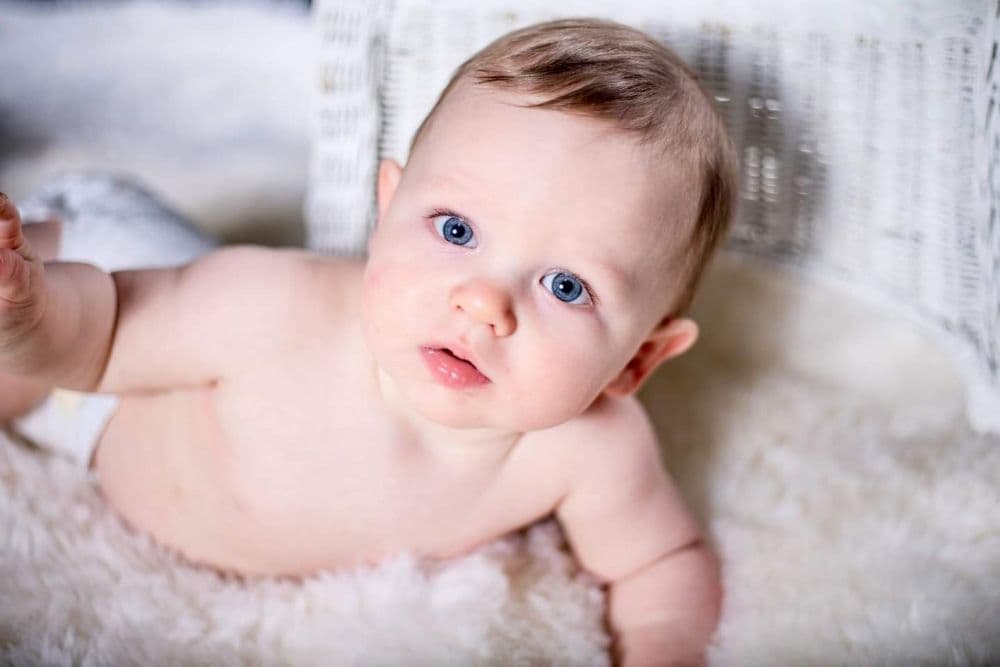 Your Perfect Portraits