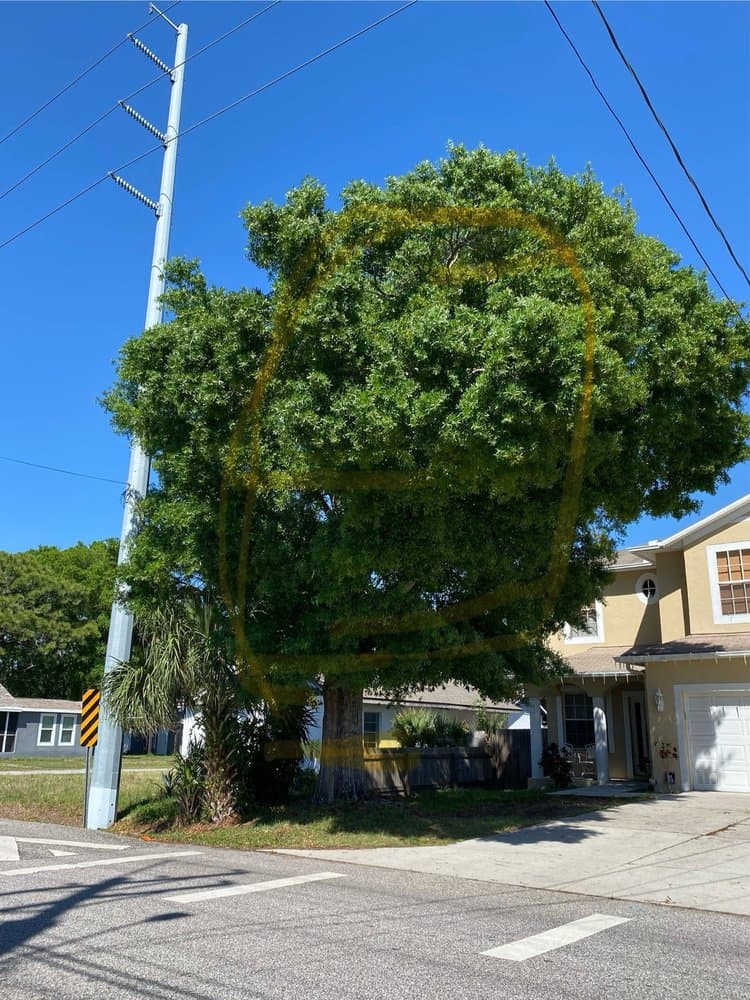 All Weather Tree and Landscaping Service