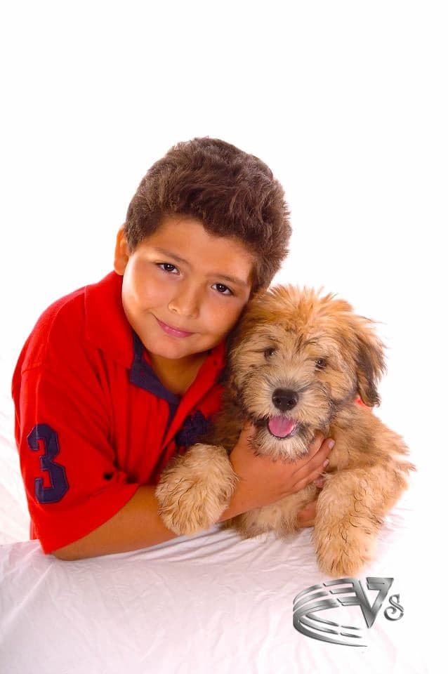 Four Corners Pet Grooming