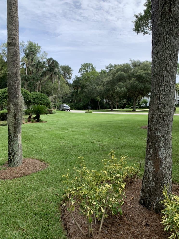 Lawns By JL