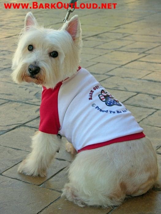 Bark Out Loud Designs