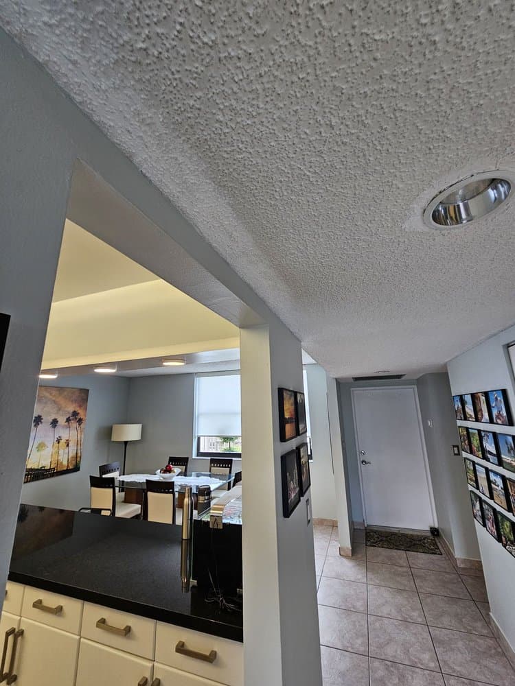 Fast Pro Paint Popcorn Ceiling Removal