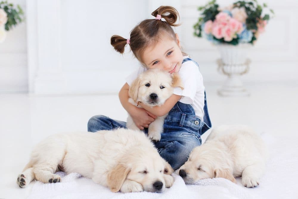 Nessy's Puppies of Kendall