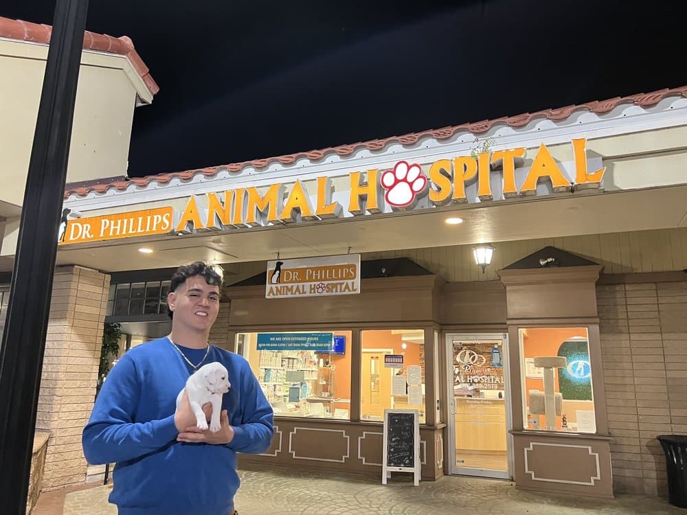 Dr. Phillips Vet Clinic