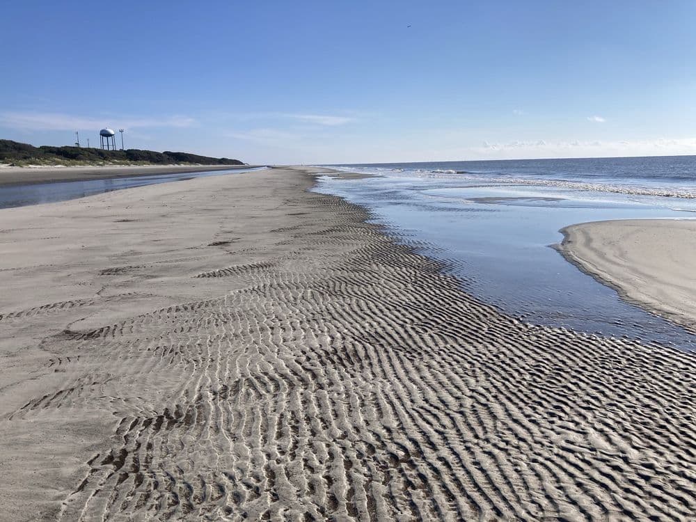 South Dunes Picnic Area