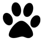 Perfect Pets