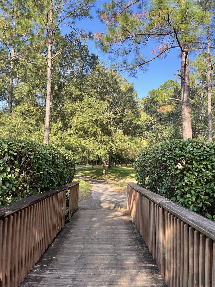 Lovelace Park