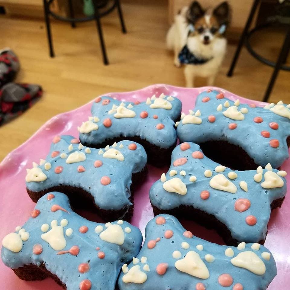 Doggie Cakes Dog Bakery and Pet Boutique