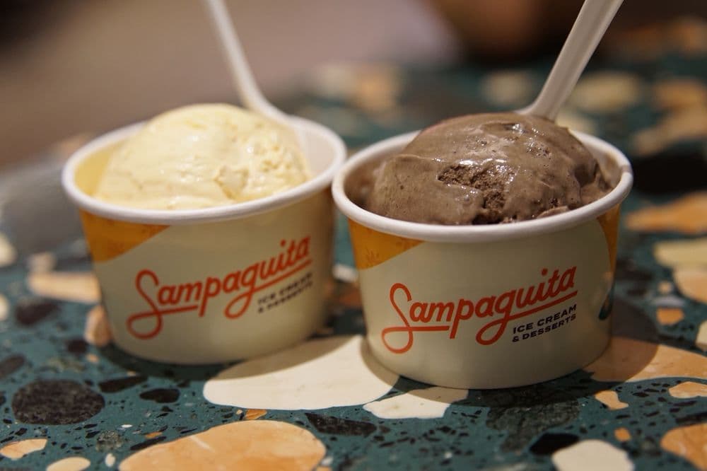 Sampaguita