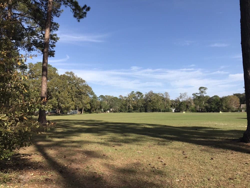 Fishweir Park