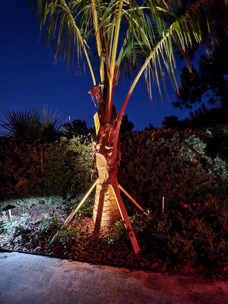 Exotic Landscaping Design