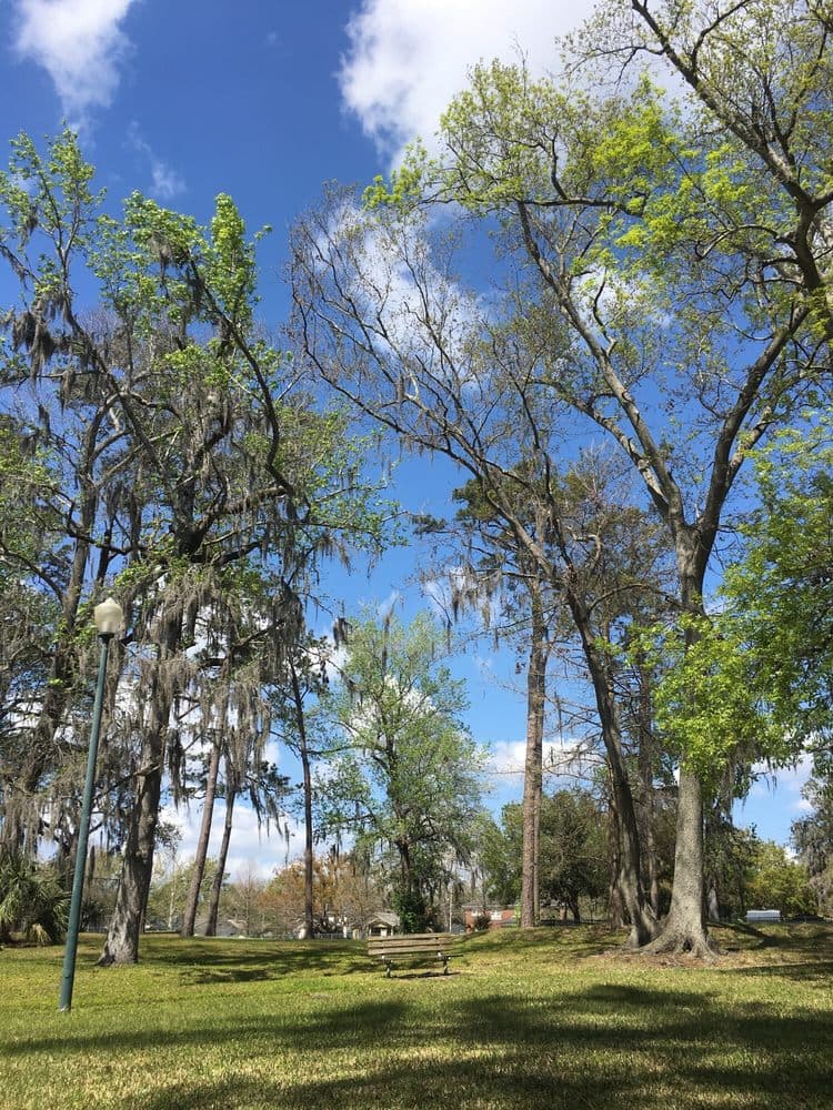 Willowbranch Park
