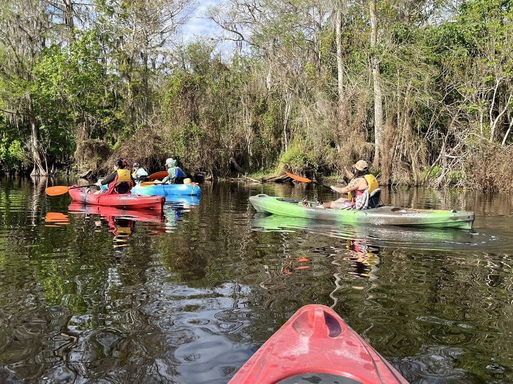 Adventures in Florida