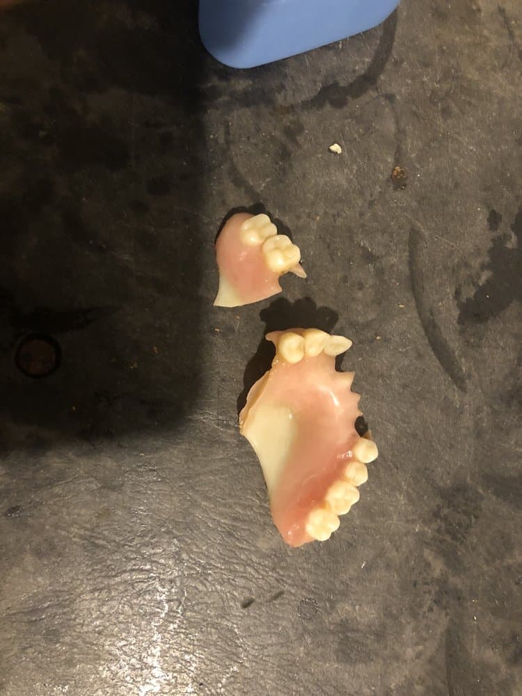 Dental Walk In Clinic of Tampa Bay