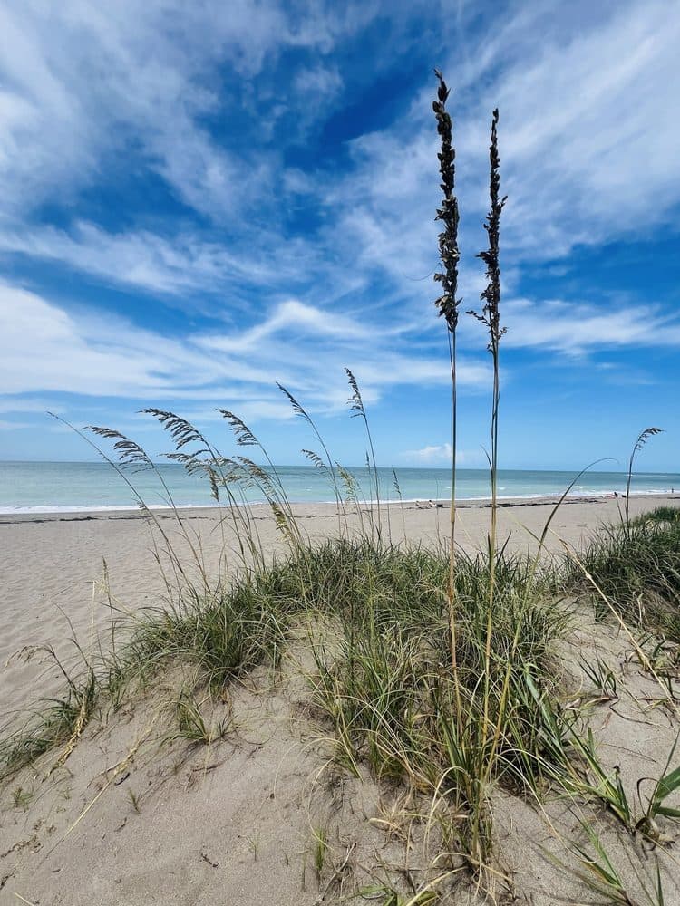 South Beach Park