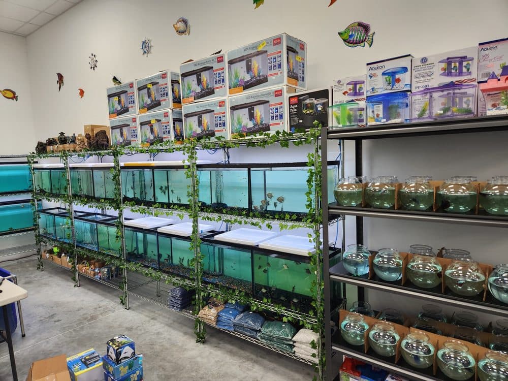 fantastic jungle pet shop