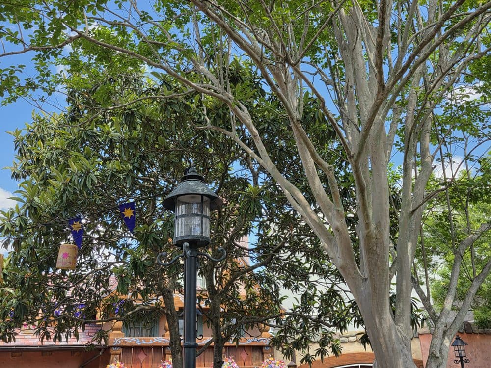 Rapunzel's Village And Tower