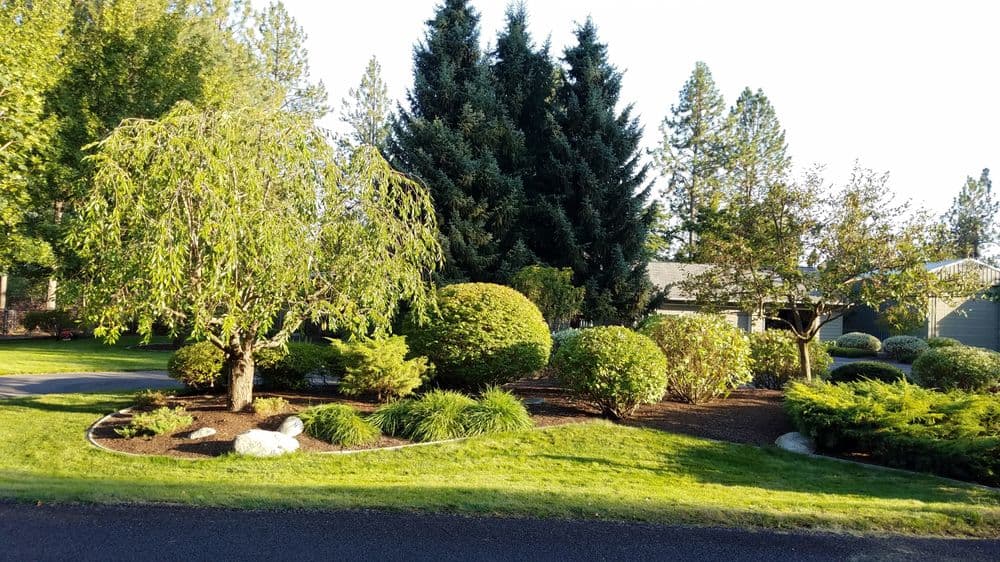 Beauty Tree And Shrub Service