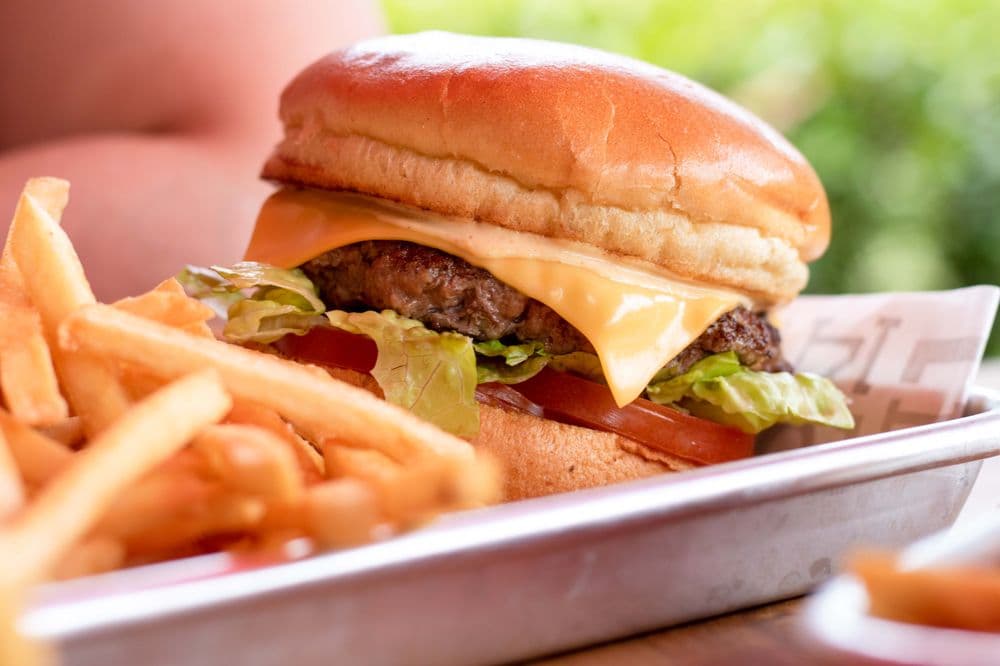 Burger 21 - Carrollwood