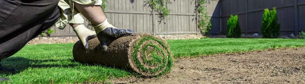 Orlando Lawnscapes