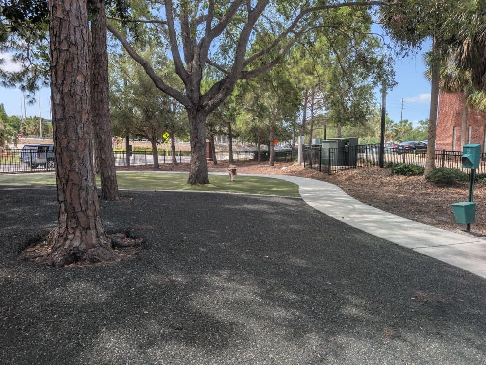 Queenie's Dog Park