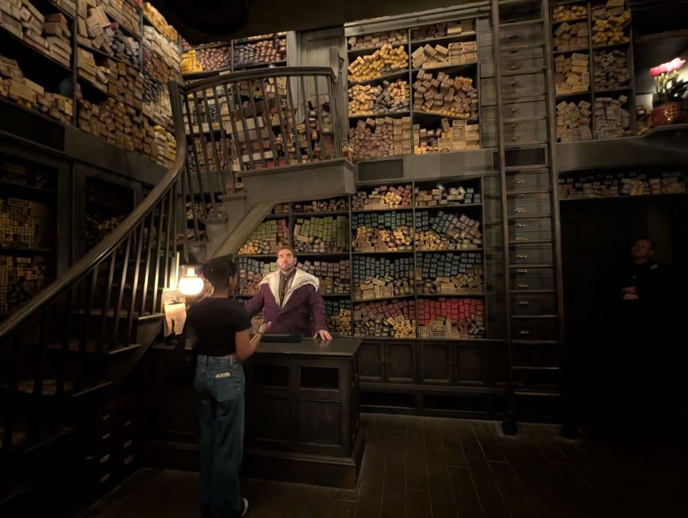 Ollivanders Wand Shop