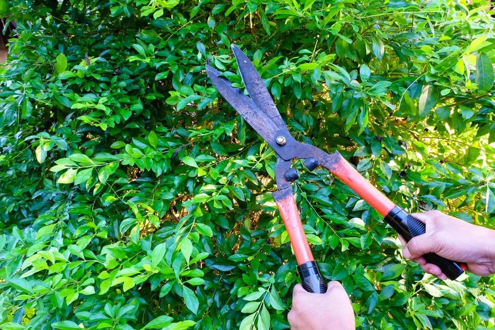 J & M Lawn Service and More