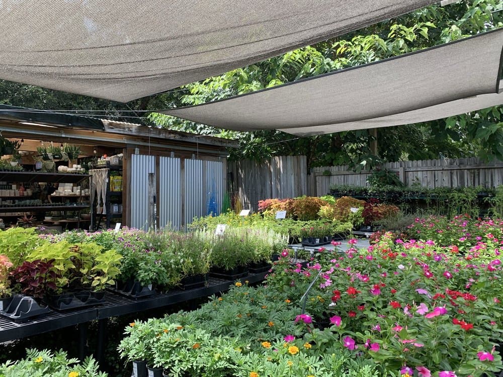 Palmer's Garden & Goods
