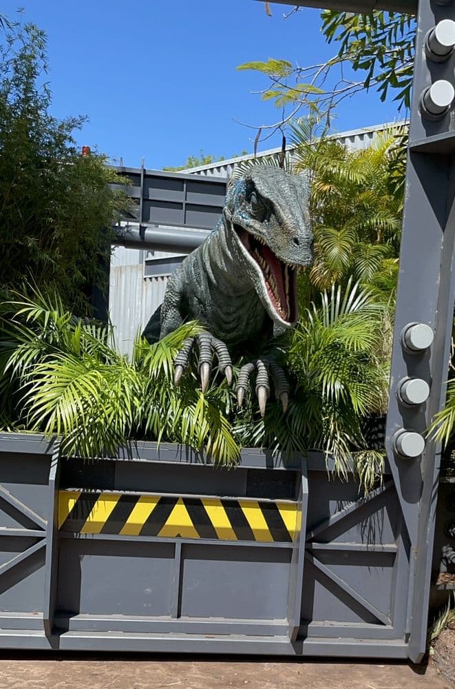 Raptor Encounter