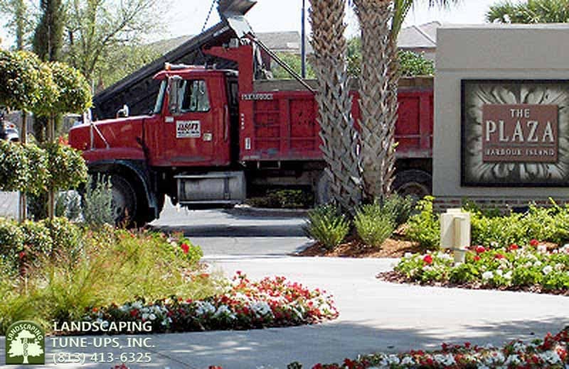 Landscaping Tune-Ups