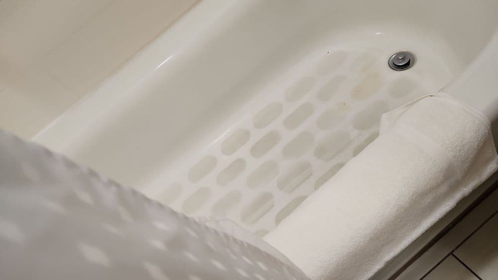 Holiday Inn Express & Suites Tampa -USF-Busch Gardens