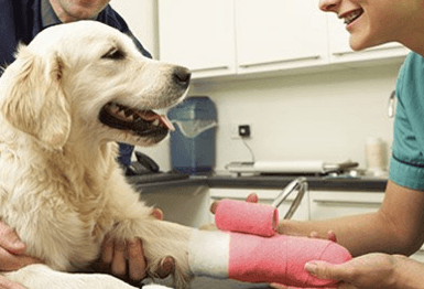 Powers Drive Animal Hospital