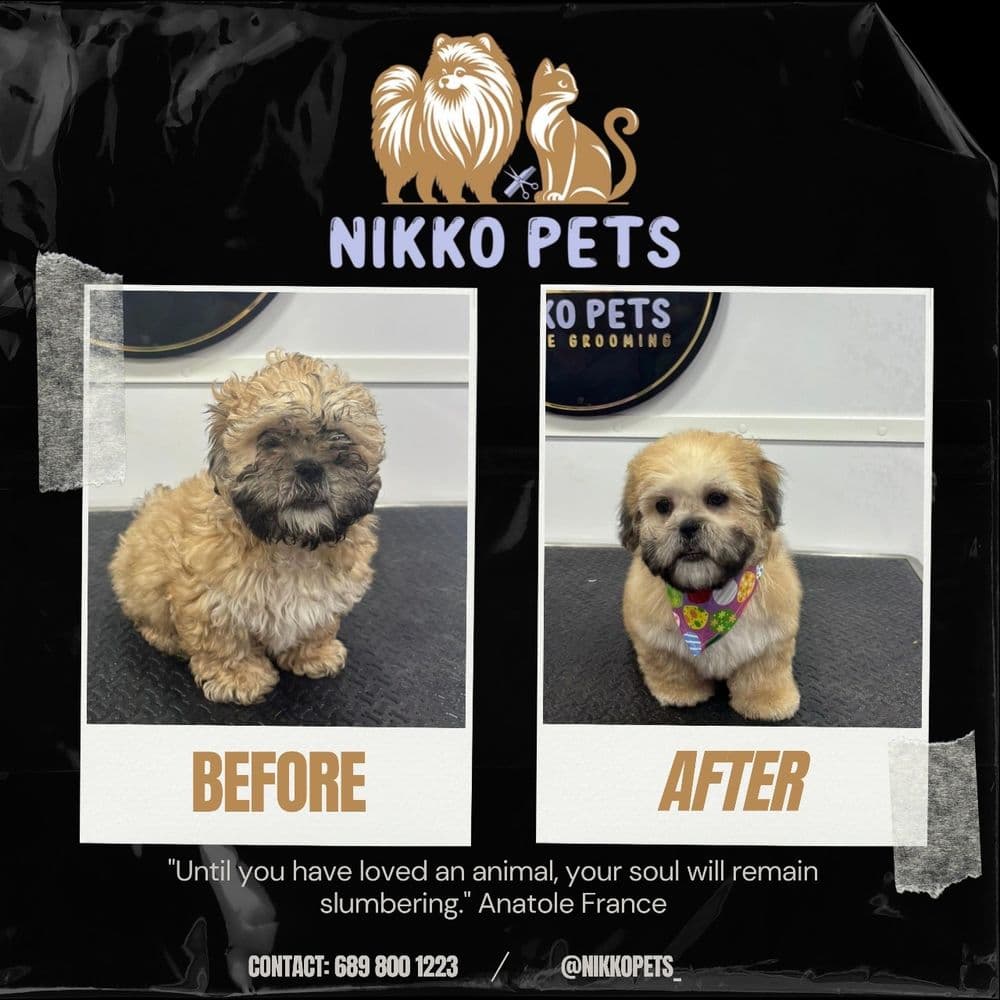 Nikko Pets Mobile Grooming